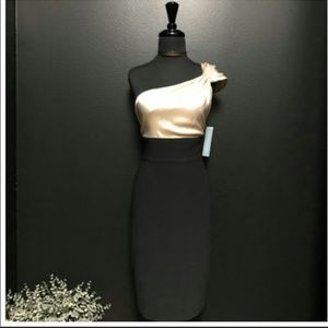 🌟🌟LONDON TIMES NEW W/TAG  Dress(12